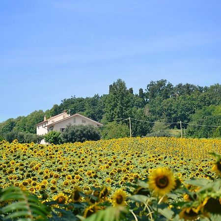 Cupramontana Le Piume B&B المظهر الخارجي الصورة